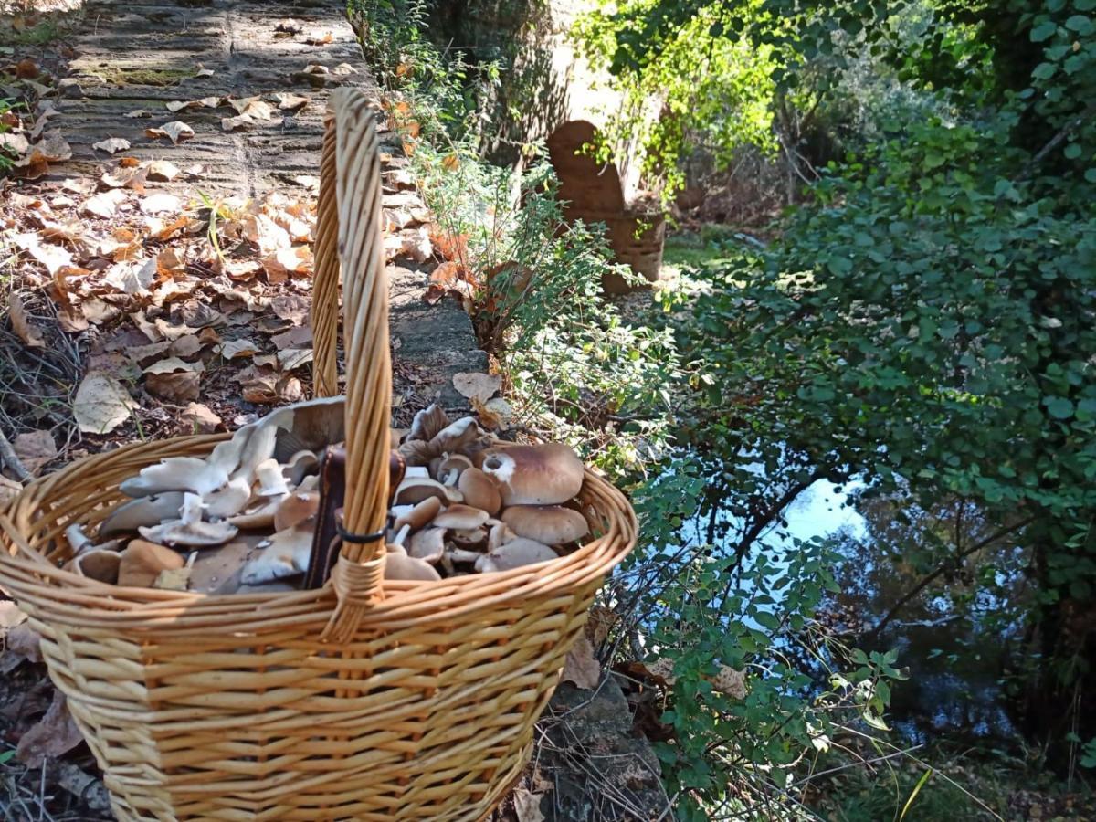 Penasquitos *