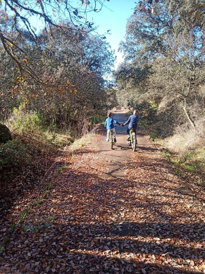 Penasquitos Hébergement de vacances