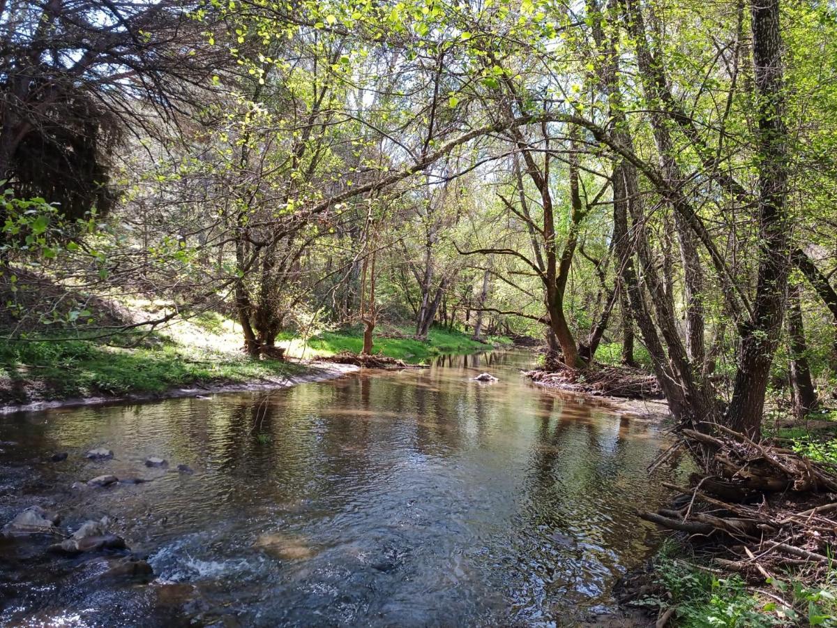 Penasquitos
